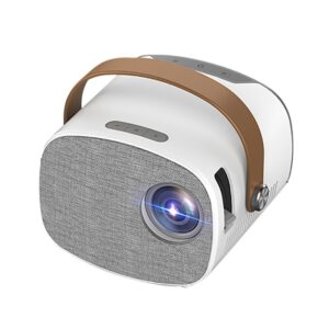 Mini Portable Projector Built In HIFI Speakers 1080P Color LED 3D Play