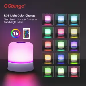 Ggbingo Touch Night Light Rechargeable Remote Control Night Light RGB