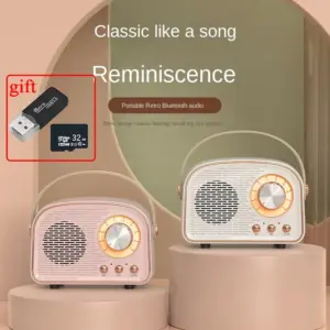 DW21 Mini Bluetooth Speaker Classical Music Player With FM Radio,tf